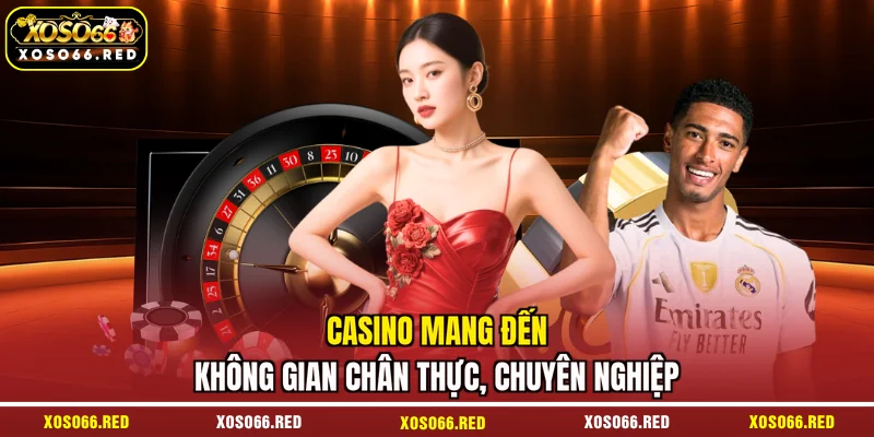 Casino mang đến không gian chân thực, chuyên nghiệp