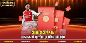 Chính sách VIP
