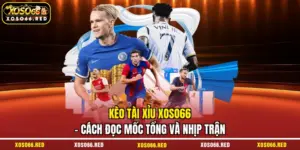 Kèo tài xỉu