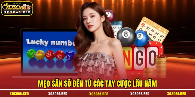 Mẹo săn số đến từ các tay cược lâu năm
