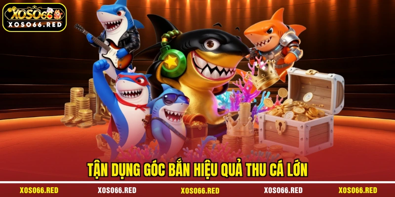 Tận dụng góc bắn hiệu quả thu cá lớn