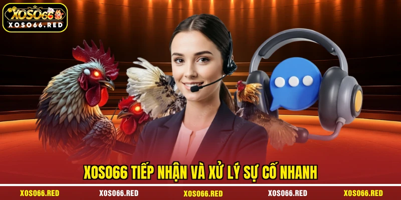 XOSO66 tiếp nhận và xử lý sự cố nhanh